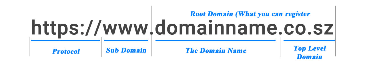 Domain Name Registration/Renewal