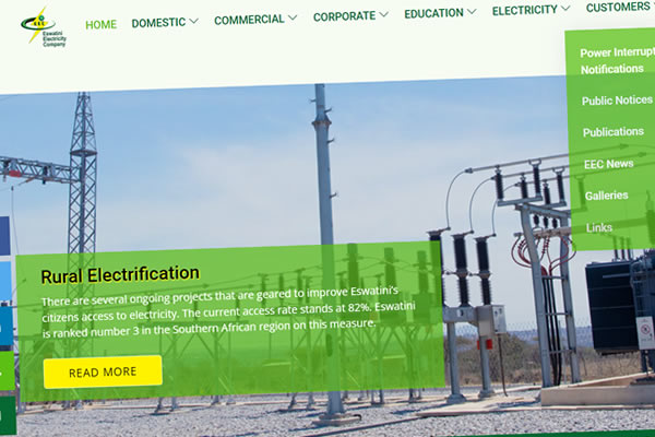 Eswatini Electricity Company (EEC)