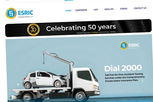 Eswatini Royal Insurance Corporation (ESRIC)